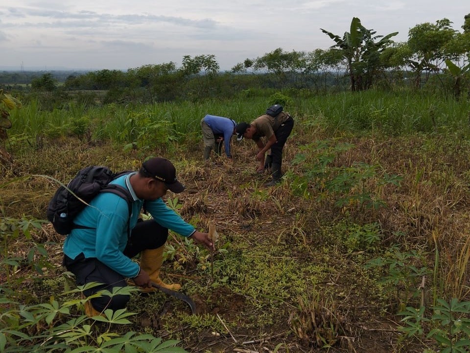 WhatsApp-Image-2025-12-09-at-08.45.53