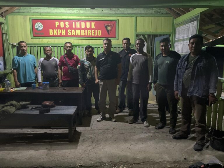 wmremove-transformed18-4